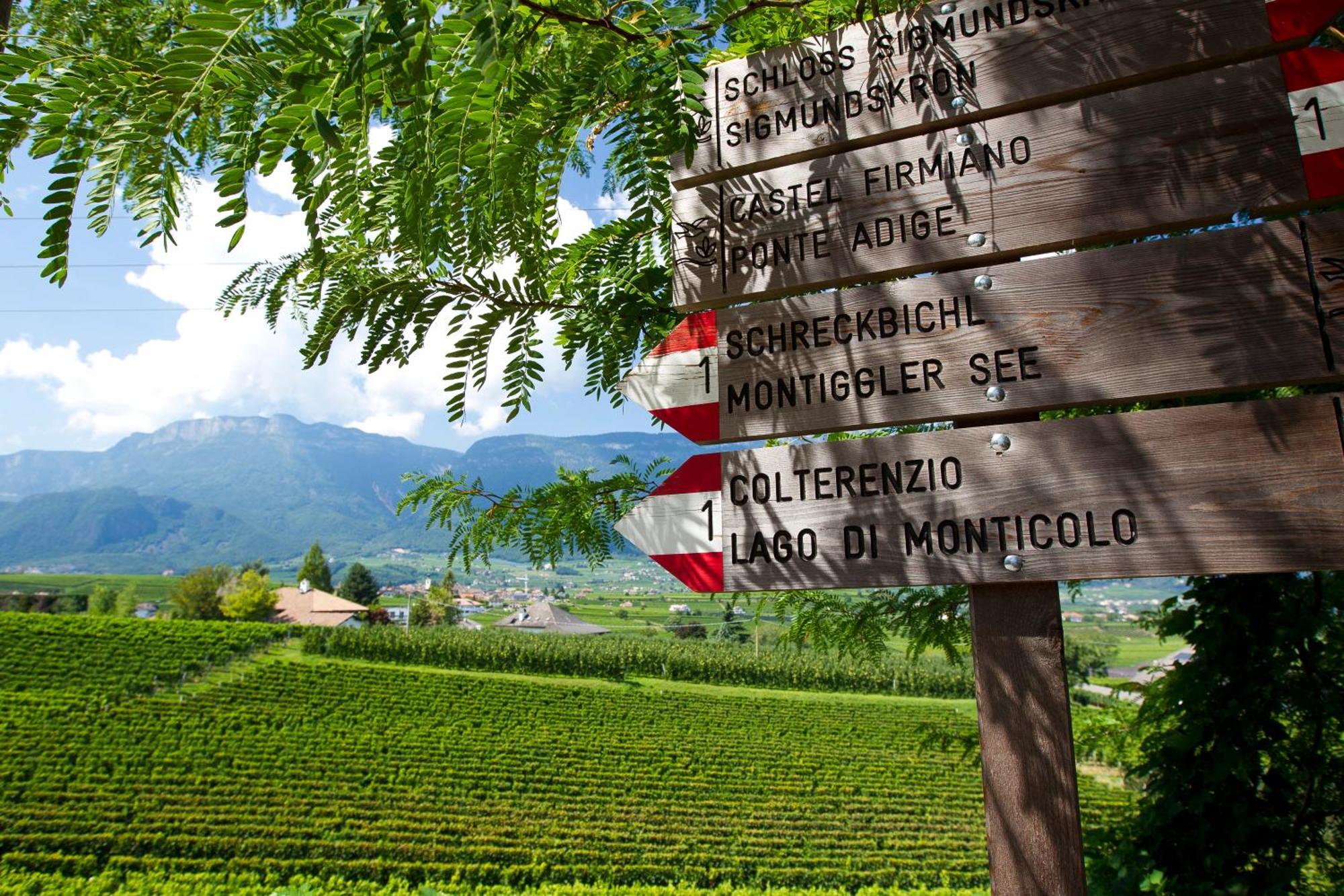 Hotel Girlanerhof Appiano Sulla Strada Del Vino Eksteriør bilde